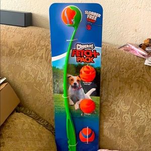 ChuckIt fetch pack 4 full size balls